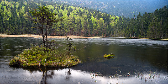 Bavarian Forest National Park